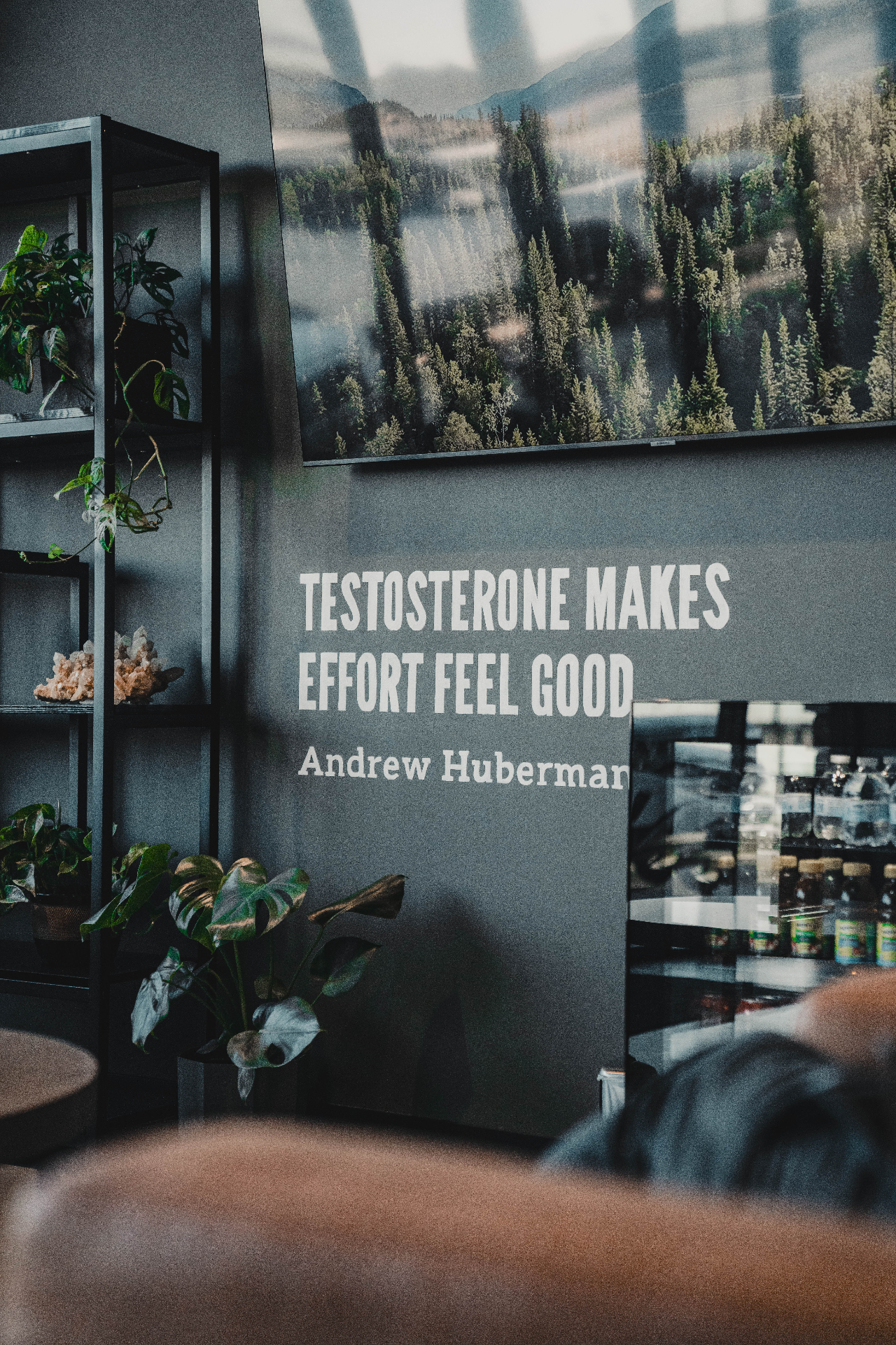 Testosterone makes effort feel good — Andrew Huberman
